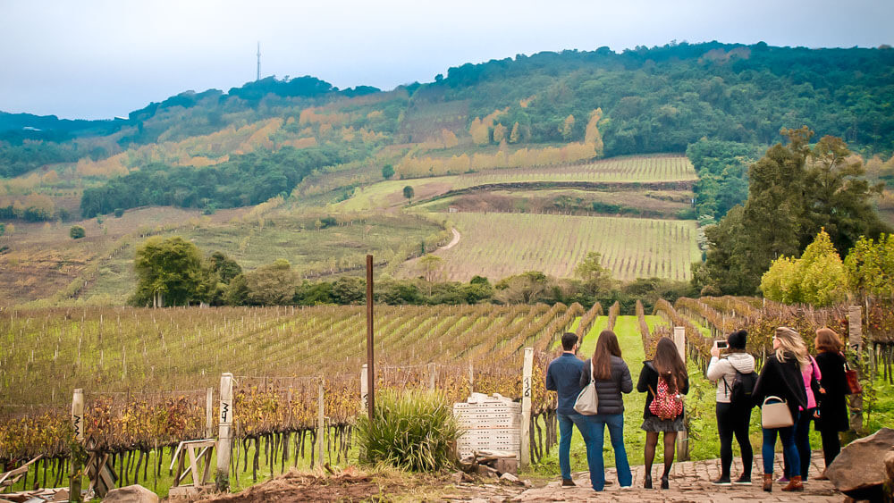 Serra Gaúcha: Roteiro do Vinho em Bento Gonçalves e Vale dos Vinhedos