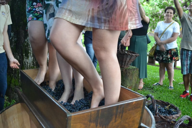 Serra Gaúcha: Roteiro do Vinho em Bento Gonçalves e Vale dos Vinhedos