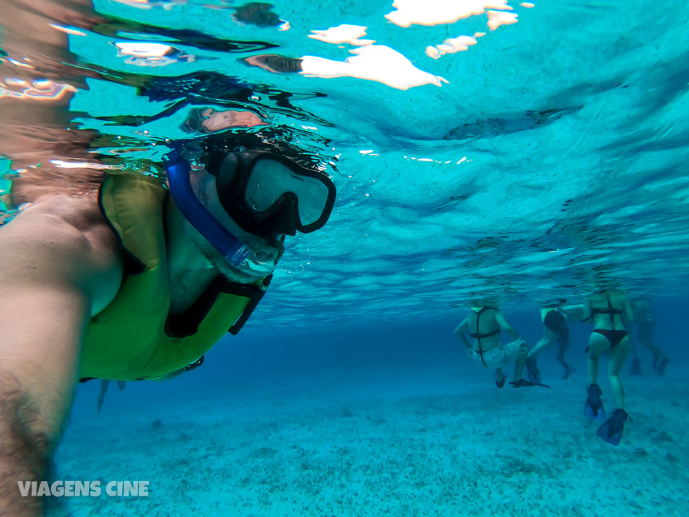 O que fazer em Cozumel - México: Como Fazer o Passeio até El Cielo e Playa Mia