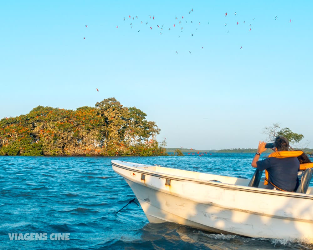 O que fazer no Piauí: 5 Lugares Imperdíveis - Delta do Parnaíba e Melhores Praias