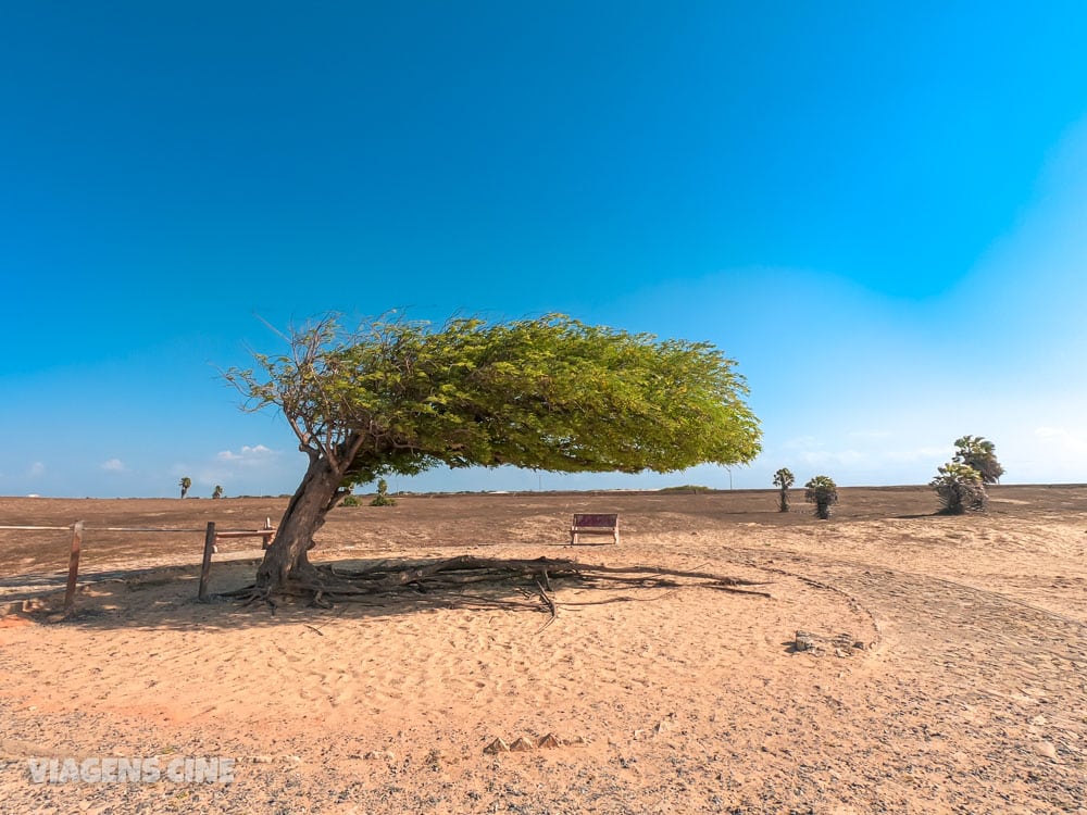 O que fazer no Piauí: 5 Lugares Imperdíveis - Delta do Parnaíba e Melhores Praias