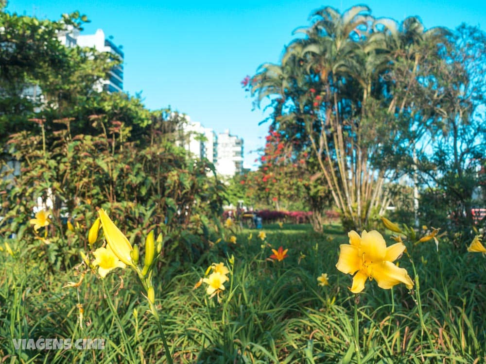 O que fazer em Santos SP - Principais Pontos Turísticos