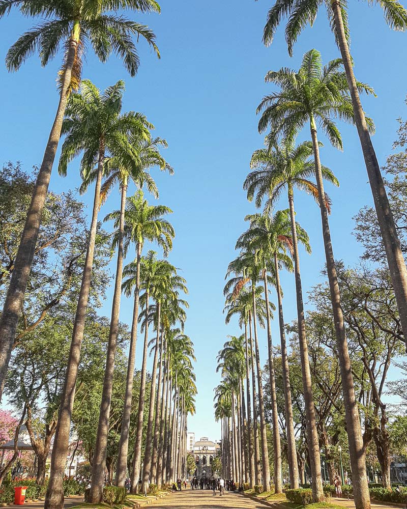 O que fazer em Belo Horizonte sem gastar muito