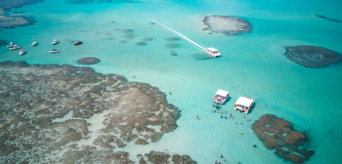 O que fazer em Maragogi - Melhores Praias