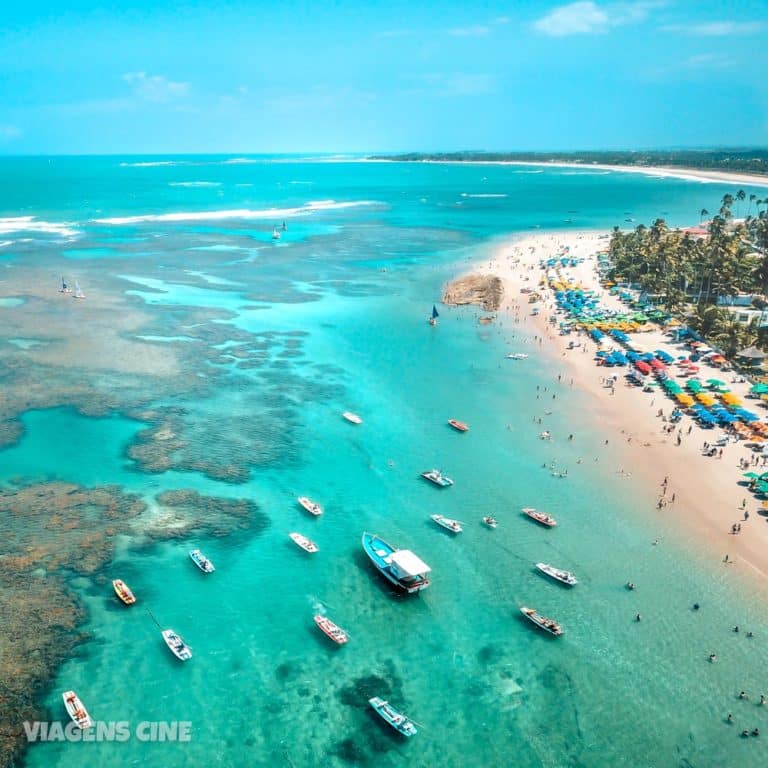 tour recife porto de galinhas