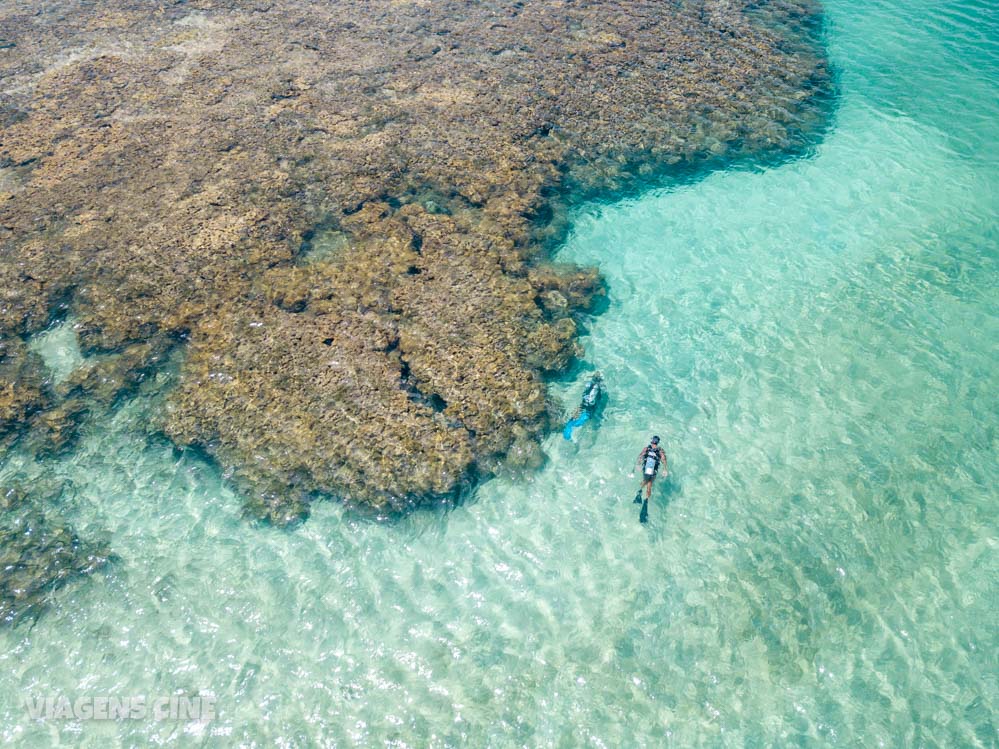 O que fazer em São José da Coroa Grande, PE - Terra das Piscinas Naturais