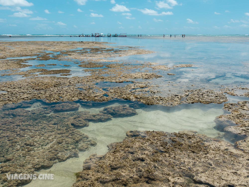 O que fazer em Porto de Pedras: Praia do Patacho, Tatuamunha e Projeto Peixe-Boi - Alagoas