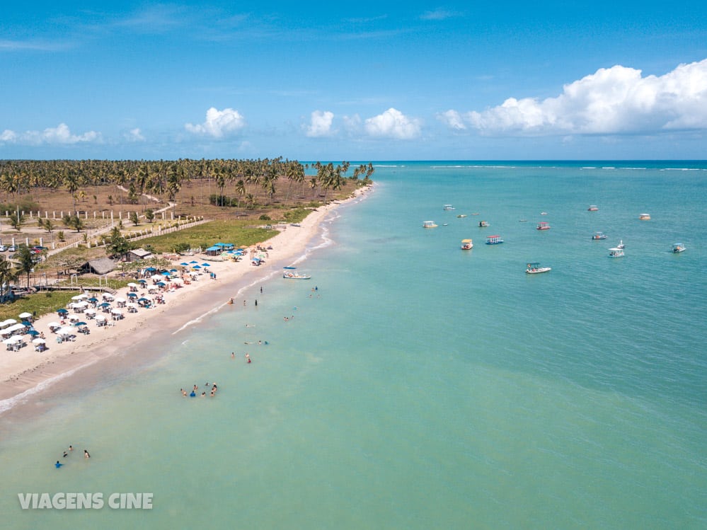 O que fazer em Porto de Pedras: Praia do Patacho, Tatuamunha e Projeto Peixe-Boi - Alagoas