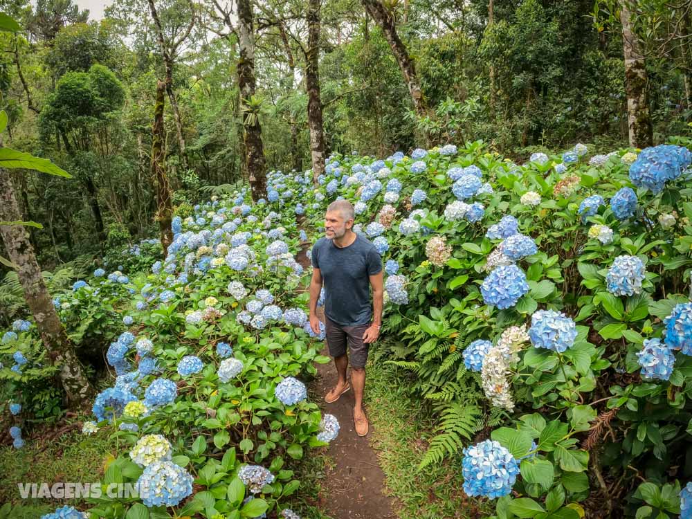 O que fazer em Monte Verde MG: Dicas e Roteiro de Viagem