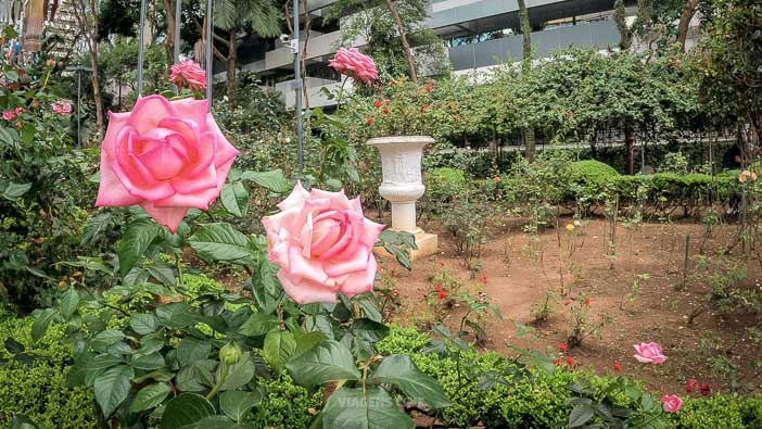 O que fazer em São Paulo: 10 Passeios Gratuitos - Casa das Rosas