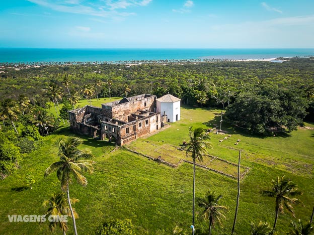 O que fazer na Praia do Forte: Como Ir, Onde Ficar e Melhores Passeios