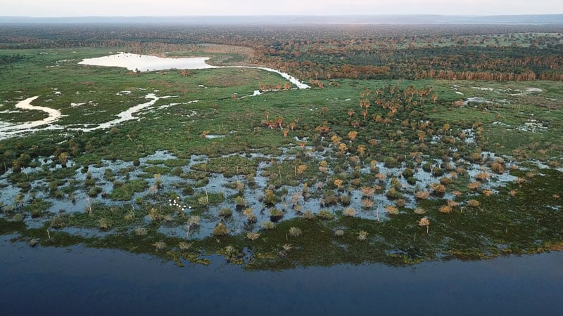 G1 - No Pantanal de MS, cavalgada entre fazendas pode durar até uma semana  - notícias em Mato Grosso do Sul