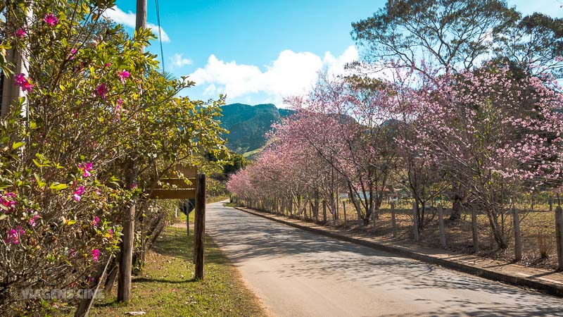 São Bento do Sapucaí SP: Roteiro de Viagem