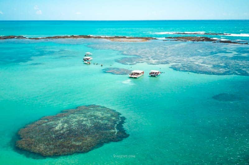 O que fazer em Maragogi: Piscinas Naturais