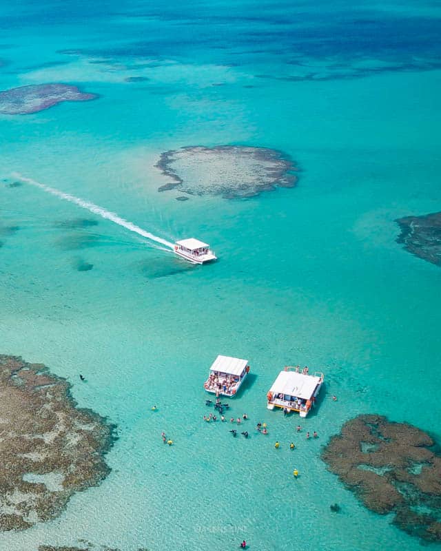 O que fazer em Maragogi - Praias e Piscinas Naturais