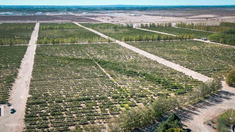 O que fazer em Neuquén, Patagônia Argentina: Praderas Neuquinas