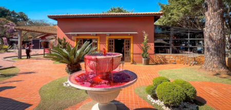 O que fazer em São Roque, SP – Rota do Vinho O que fazer em São Roque: Rota do Vinho Perto de São Paulo